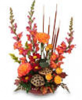 HARVEST MOON Fall Flowers in Plymouth, MA - CAROLE'S FLOWERS AND GIFTS