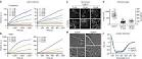 The unusual dynamics of parasite actin result from isodesmic ...