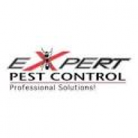 Expert Pest Control - Home | Facebook