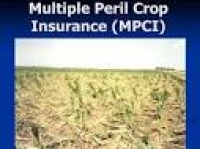 The Importance of Crop Insurance and how MIS will help to develop ...