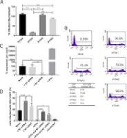 Interferon-Induced Transmembrane Protein 1 Restricts Replication ...