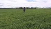 P.E.I. farmers try new ways of improving soil quality | CBC News