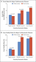 Cardiovascular Risk and Events in 17 Low-, Middle-, and High ...