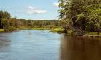 USFS Manistee River - Rainbow Bend Access Site - Manistee County ...