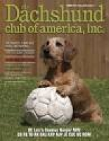 Dachshund Club of America Newsletter by Lynne Dahlen - issuu