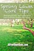 100 Best Spring Lawn Care Tips images | Lawn, Gardens, Gardening