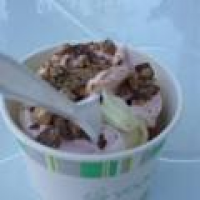 Yogurtini - 11 Photos - Ice Cream & Frozen Yogurt - 207 W Maple ...