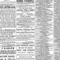 Chicago tribune. (Chicago, Ill.) 1864-1872, February 19, 1872 ...