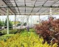 Garden Supply And Landscaping Services | Landscaping Companies ...
