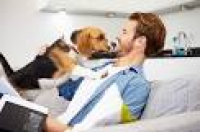 Akron Pet Insurance Services - Akron Pet Insurance