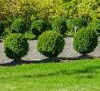 Landscaping | Landscaping Services | Bannock, OH