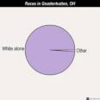 Gnadenhutten, Ohio (OH 44629) profile: population, maps, real ...