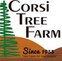 Corsi Tree Farm - Home | Facebook
