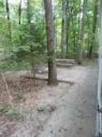 foggy woods in the campground - Picture of State Park Cabins-Monte ...