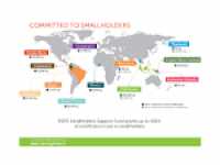 About Us | RSPO - Roundtable on Sustainable Palm Oil