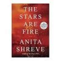 Stars Are Fire (Large Print) (Paperback) (Anita... : Target