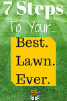 Best 25+ Best lawn sprinkler ideas on Pinterest | Lawn care tips ...