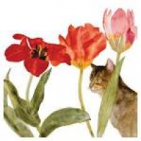 Dame Elizabeth Blackadder RA Cat Amongst Tulips | Royal Academy of ...