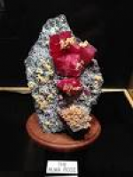 Rice Northwest Museum of Rocks and Minerals - 27 Photos & 19 ...