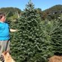 Bambi's Christmas Tree Land - Christmas Trees - 15008 Winters Hill ...