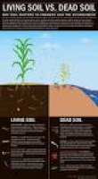 93 best Life in the Soil images on Pinterest | Earth, Botany and ...