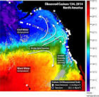 Fukushima Radioactivity Detected Off West Coast : Woods Hole ...