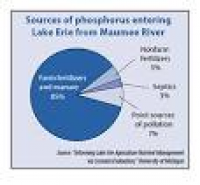 Phosphorus-Fed Algal Growth Leads Michigan to Label Part of Lake ...