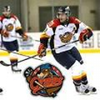 18 best ERIE OTTERS!!!!! images on Pinterest | Otters, Hockey and ...