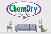 Chem-Dry Carpet Cleaning | World's Leading Carpet Cleaner