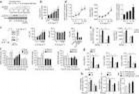 Interleukin-6 enhances insulin secretion by increasing glucagon ...