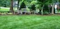How to Grow Fescue Grass in Your Yard | Today's Homeowner