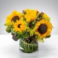 Glenside Florist | Flower Delivery by Coupe Flowers Inc.
