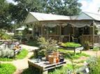 Rolling in Thyme & Dough in Dripping Springs, TX. | Places ...