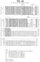 Patent US20040023334 - Modified transferrin fusion proteins ...