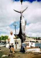 Top 100 World Saltwater Fishing Records