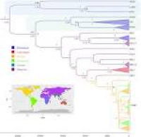 The Global Phylogeography of Lyssaviruses - Challenging the 'Out ...