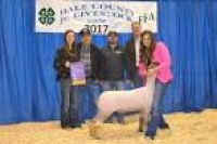 Hale County Stock Show Reserve Champions - Plainview Daily Herald
