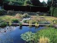 153 best Living the Pond Life images on Pinterest | Landscaping ...