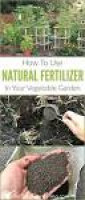 34 best fertiliser images on Pinterest | Gardening tips, Garden ...