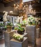 Best 25+ Garden shop ideas on Pinterest | Conservatory, Terrarium ...