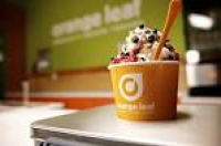 Orange Leaf Frozen Yogurt - 42 Photos & 42 Reviews - Ice Cream ...
