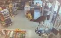 Three deer break into Canada gas station convenience store | Daily ...