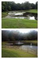 37 best Before and After Lake Management images on Pinterest