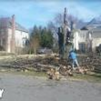 Tropilawn Landscaping - Tree Services - Alexandria, VA - Phone ...