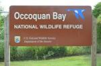 Occoquan Bay National Wildlife Refuge Woodbridge, Virginia… | Flickr