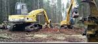 Timber Harvesting | Logging - American Forest Lands Maple Valley WA