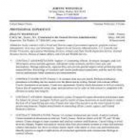 Federal Resume Sample and Format - The Resume Place